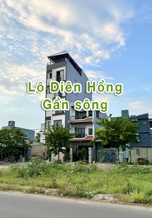 Lô Diên Hồng siêu hiếm 