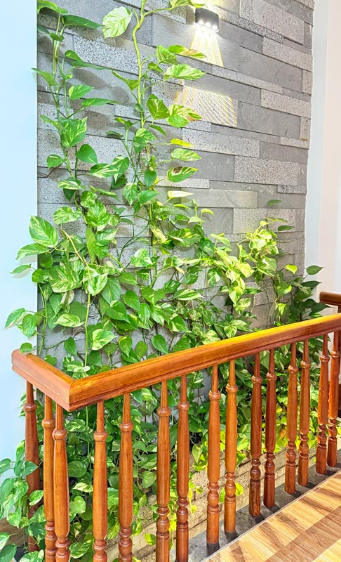 Bán nhà 3 tầng Nguyễn Hiến Lê hướng đông nam 