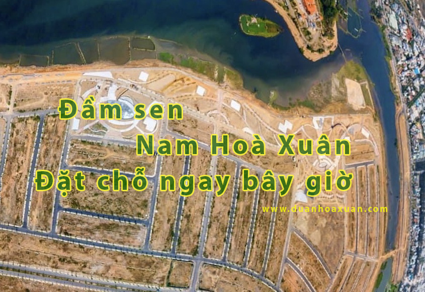 Đầm sen Nam Hoà Xuân từ khoá được tìm kiếm nhiều nhất nhất tại  Nam Hoà Xuân
