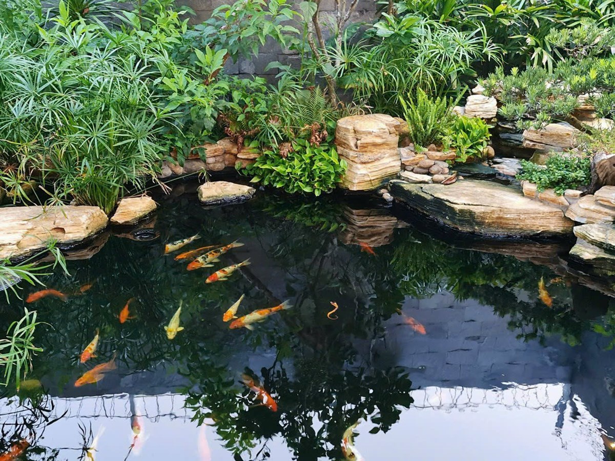 Bán nhà biệt thự nam hoà xuân ngay sau lưng sông 