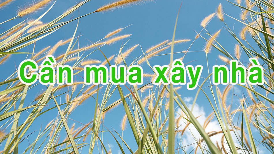 Nhu cầu cần mua đất tại Nam Hoà Xuân và hoà xuân