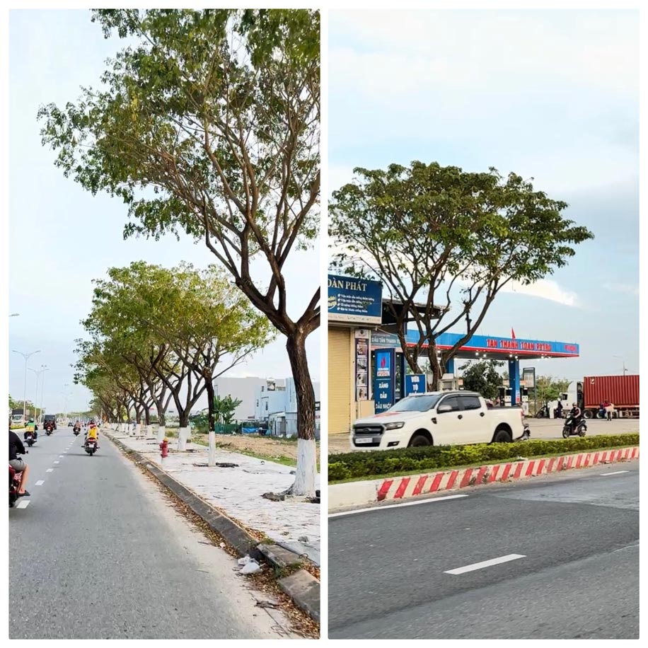 MỞ BÁN 709 LÔ ĐẤT KHU VÕ CHÍ CÔNG