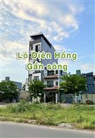 Lô Diên Hồng siêu hiếm 