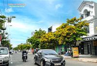 Bán lô góc đường Lê Quảng Chí và Mạc Đăng Doanh