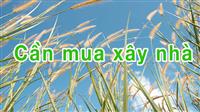 Nhu cầu cần mua đất tại Nam Hoà Xuân và hoà xuân