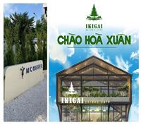 TOP NHỮNG QUÁN CAFE ĐẸP TẠI HOÀ XUÂN P2