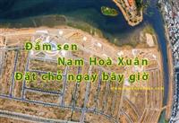 Đầm sen Nam Hoà Xuân từ khoá được tìm kiếm nhiều nhất nhất tại  Nam Hoà Xuân